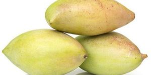 Totapuri Mango