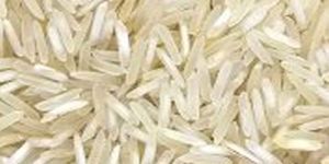 1509 Steam Basmati Rice