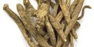 Dry Brown Akarkara Irani Root