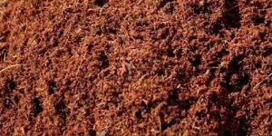 Coir Pith Manure
