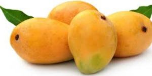 Fresh Alphonso Mango