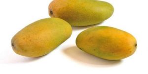Fresh Dasheri Mango