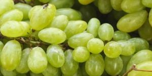 Fresh Green Grapes