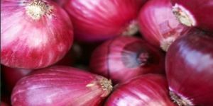 Premium Nashik Red Onion