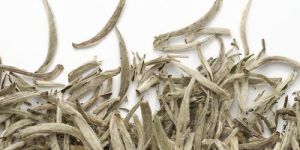 White Tea Leaves