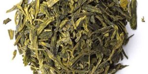 Dried Green Tea Leaves