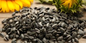 Organic Sunflower Seeds