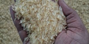 Ir 64 Parboiled Rice