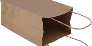 8x4x12 Inch Brown Paper Shopping Bag