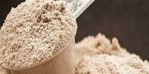 40% DHA Protein Powder