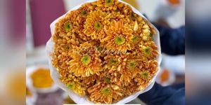 light orange chrysanthemum flower
