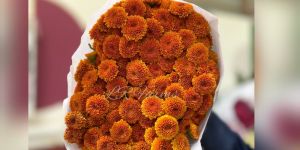 orange button calimero flower