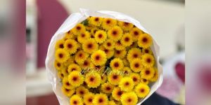 Orange Dot Yellow Calimero Flower