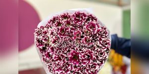 Ova Red Santini Single Petal Flower