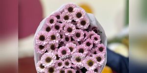 Pink Santini Flower
