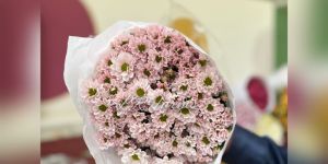 Light Pink Santini Flower