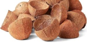 Coconut Shell