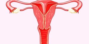 Iui Treatment