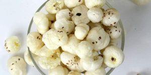 Roasted Makhana