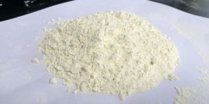 White Onion Powder
