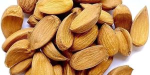 Kashmiri Mamra Almonds