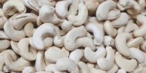 Cashew Nuts