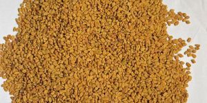 Methi Dana