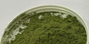Moringa Powder