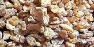 Olibanum Gum