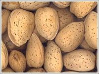 Almond with Shell
