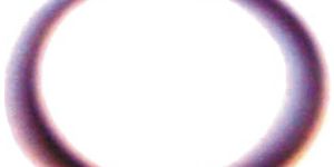 Valve Guide Ring (SE-120B)