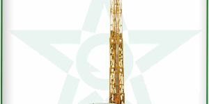 Telescopic Platforms