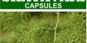Shatavari Capsules