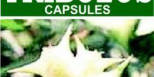 Tribulus Capsules