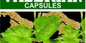Valerian Capsules