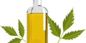 Neem Oil