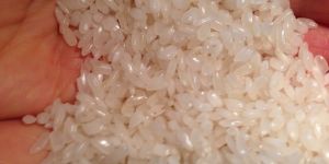 Long Grain Rice