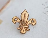 Colored Brass Badges