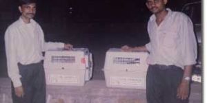 Pet Movement Services