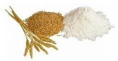 Wheat Flour