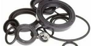 Oil Seals