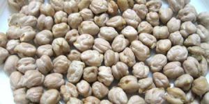 Garbanzo Beans
