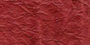 X 1610 Leather Embossed Paper