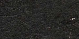 Y 051 Coated Bagasse Paper