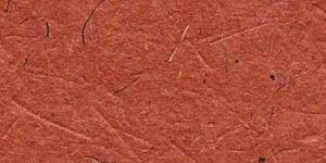 Y 052 Coated Bagasse Paper