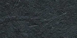 Y 053 Coated Bagasse Paper