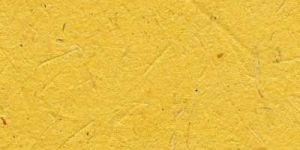 Y 054 Coated Bagasse Paper