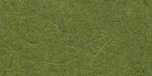 Y 057 Coated Bagasse Paper