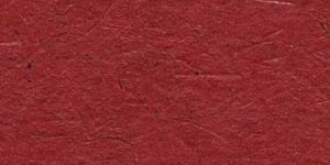 Y 058 Coated Bagasse Paper