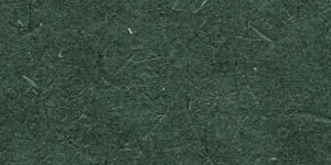 Y 059 Coated Bagasse Paper